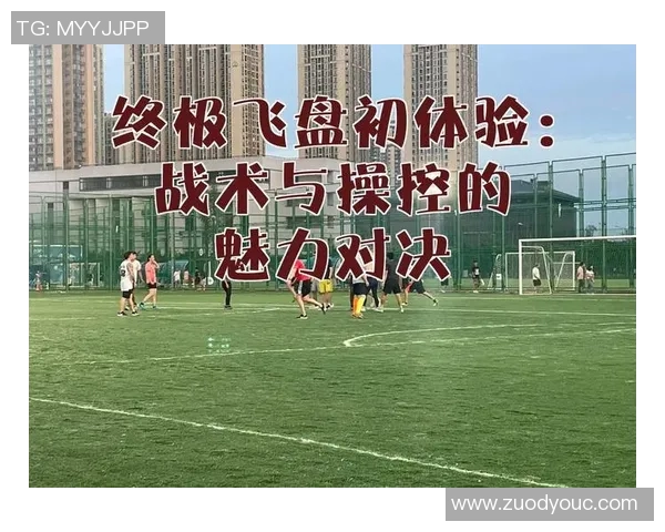 北京飞盘队中路突破分析与战术调整探讨